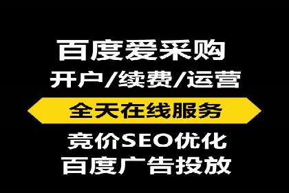 百度推广操作指南：案例解析